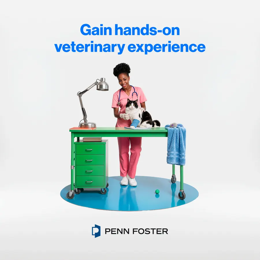Woman holding a cat with a bandaged leg