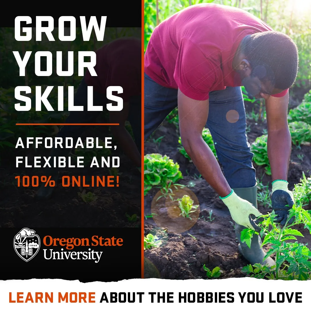 Split image: black panel reading GROW YOUR SKILLS beside a man in gloves tending tomato plants in a garden
