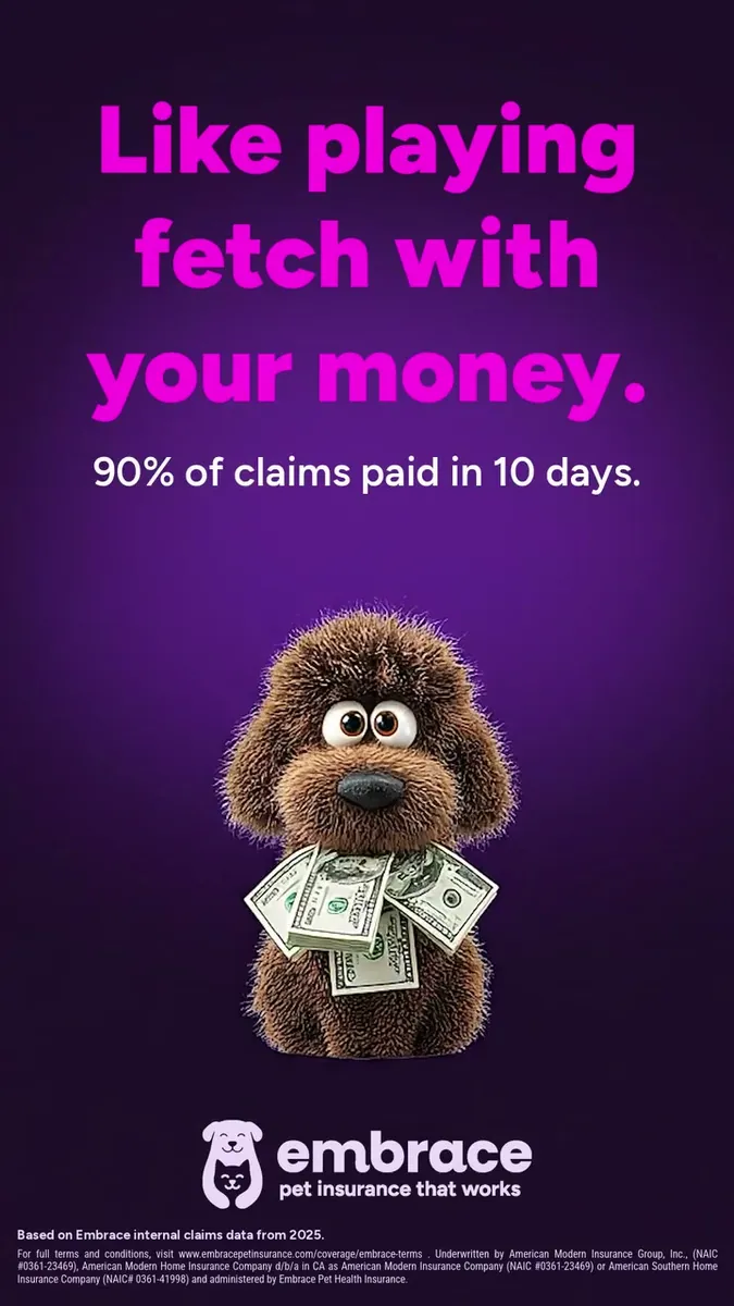 Fluffy brown 3D dog holding dollar bills under the headline Like playing fetch with your money, with the Embrace logo.